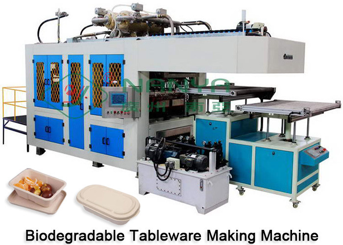 Paper Plate Tableware Membuat Mesin Kering Dan Potong Cetakan CE Certificate